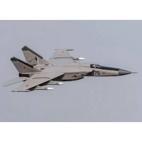 Flyfans Mig-25 Twin 64mm EDF Jet